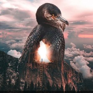 Meet your Posher, Blaine